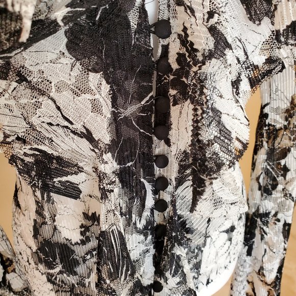 Button Down Black and White Lace Blouse - Picture 3 of 15